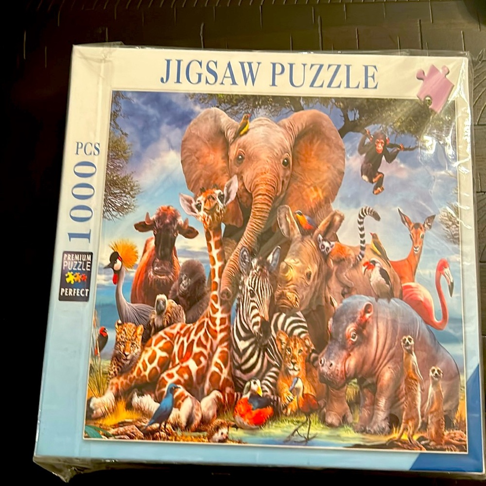 Jigsaw puzzle